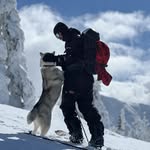 Snowboarder | Freeride | Viajero