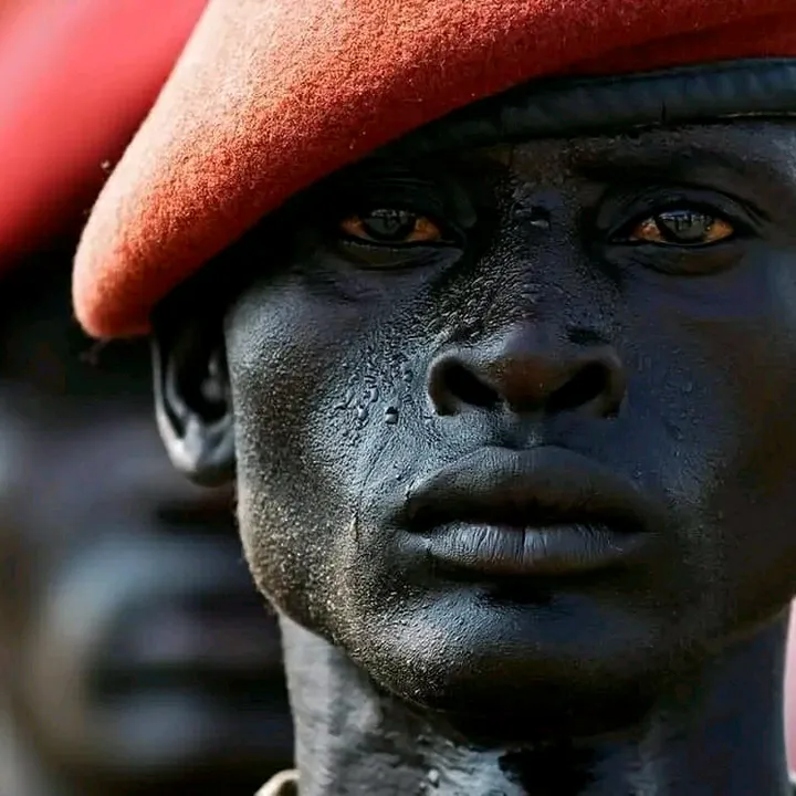 Daribe