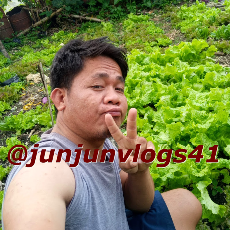 @junjunvlogs41