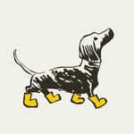 Darling Dog