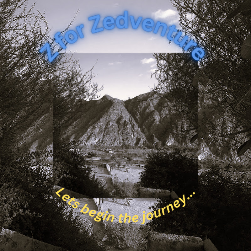 Z for Zedventure