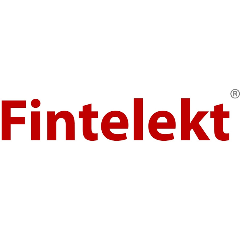 Fintelekt