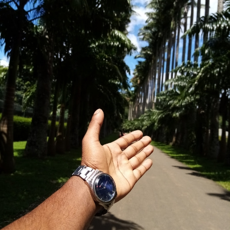 The Nature Ultra