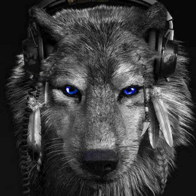 fraty HD Music Channel