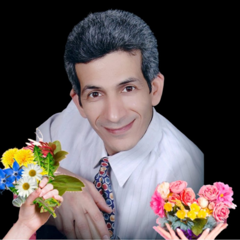 Sir Fadel Salem (Math Academy)