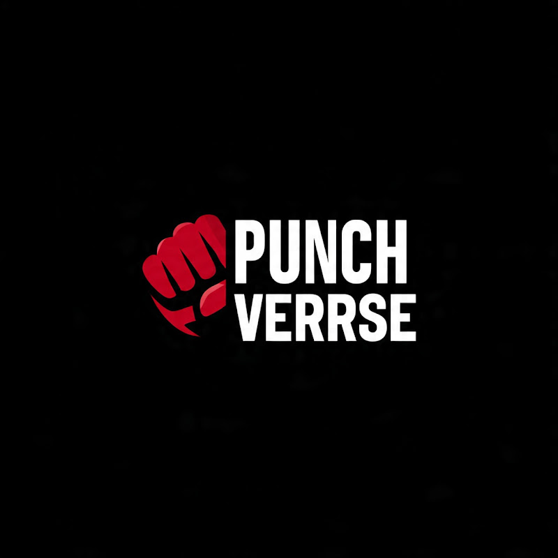 PUNCHVERSE
