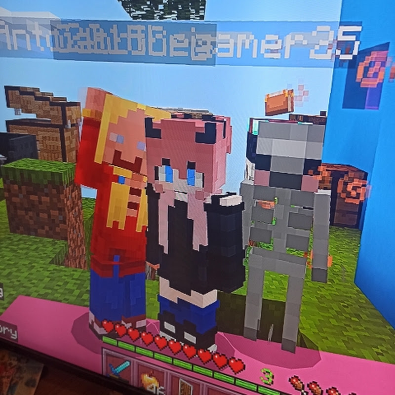 Gabb the gamer