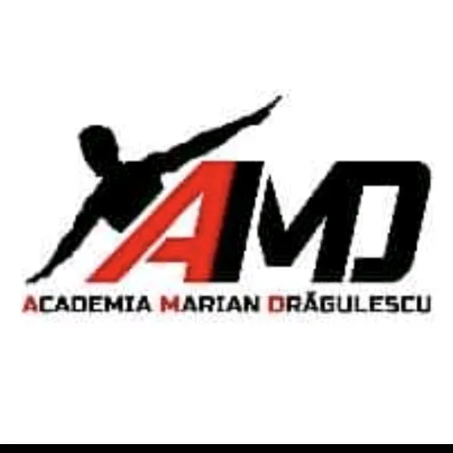 AcademiaMarianDragulescu