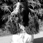 🄺🄴🄽🄽🄴🄻 🄲🄾🄲🄾🄻🄸🄽🄴