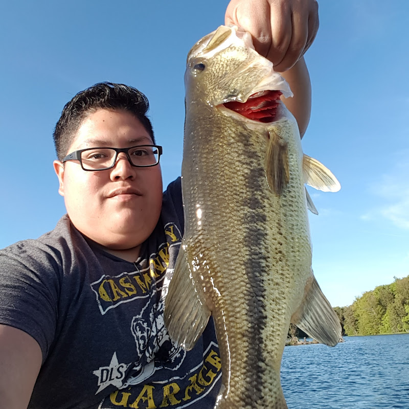 Nelly's fishing Adventures