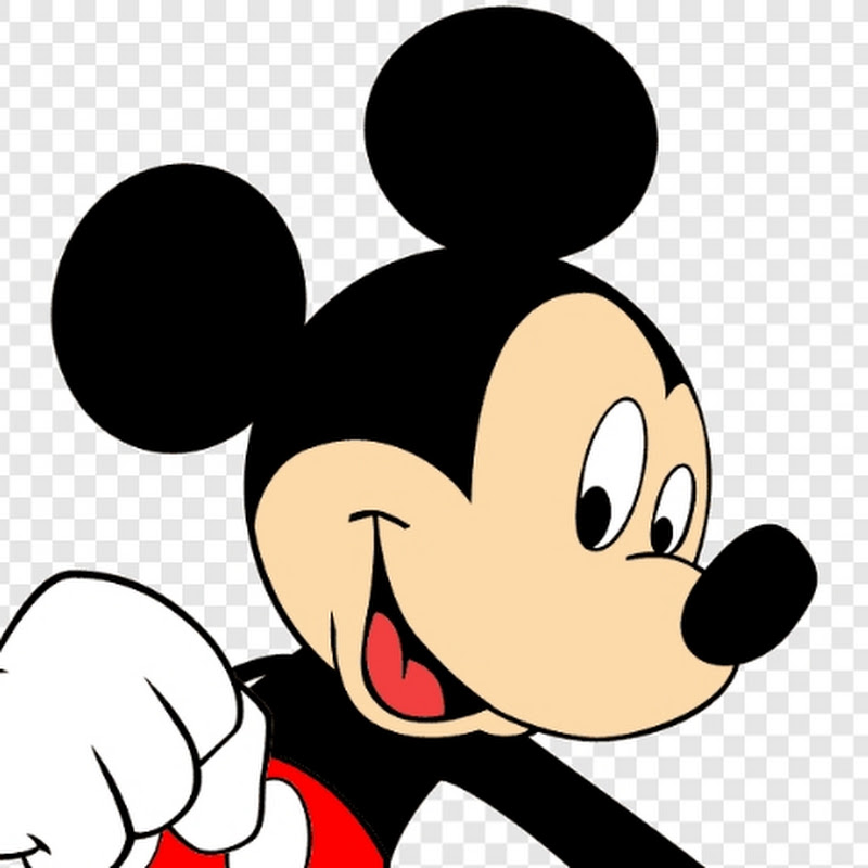 Maximiliano Riveros the Disney Junior Fan 2011 