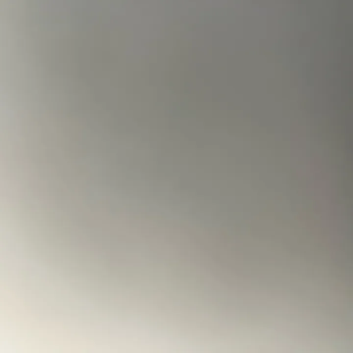 sofiaxaurelia 🐆