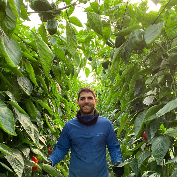 Almerihuerta