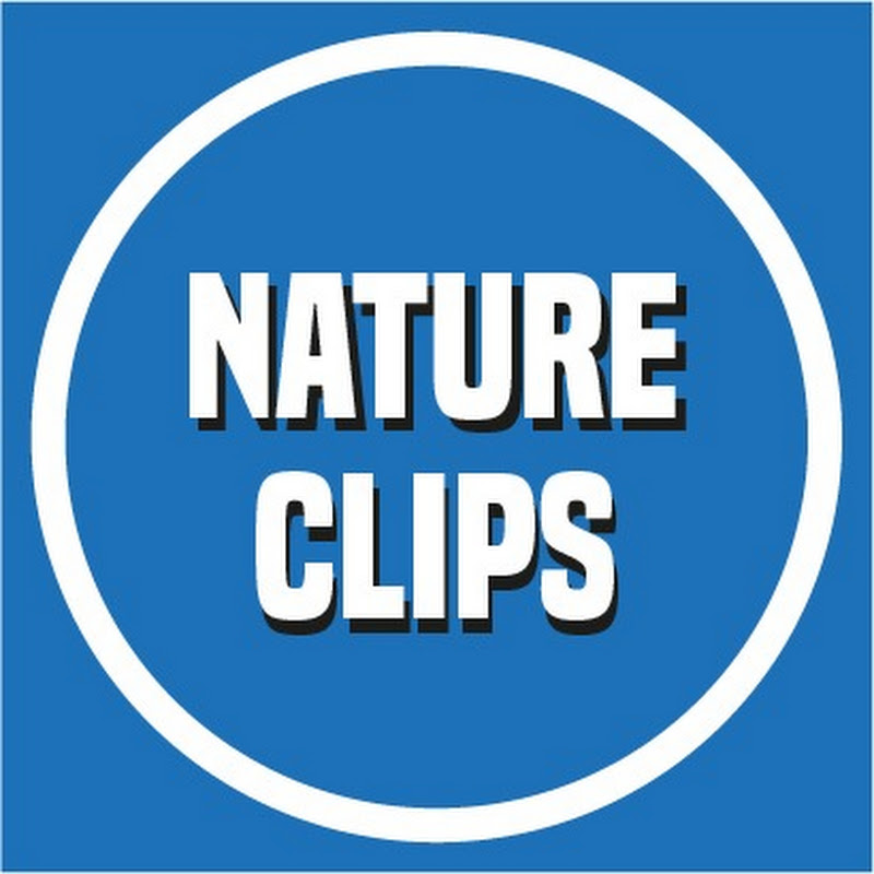 Nature Clips