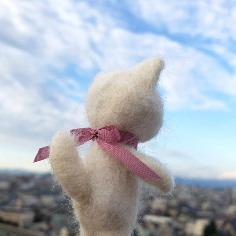 豊橋ネコさんぽ🐾neko sanpo