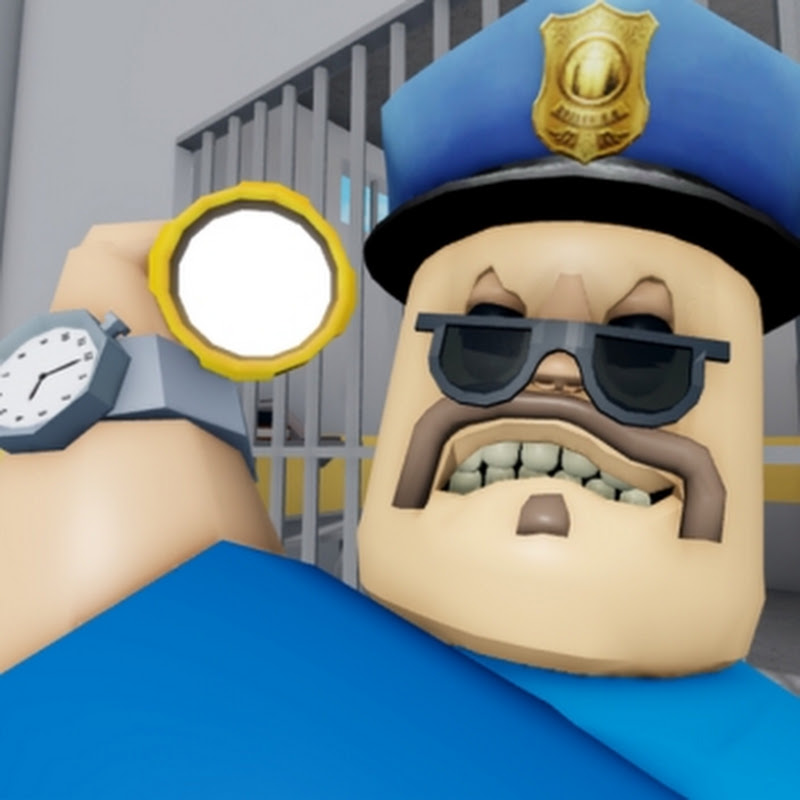 Barry's play obby