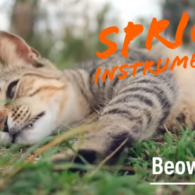 Relax Music - Hans Thoma