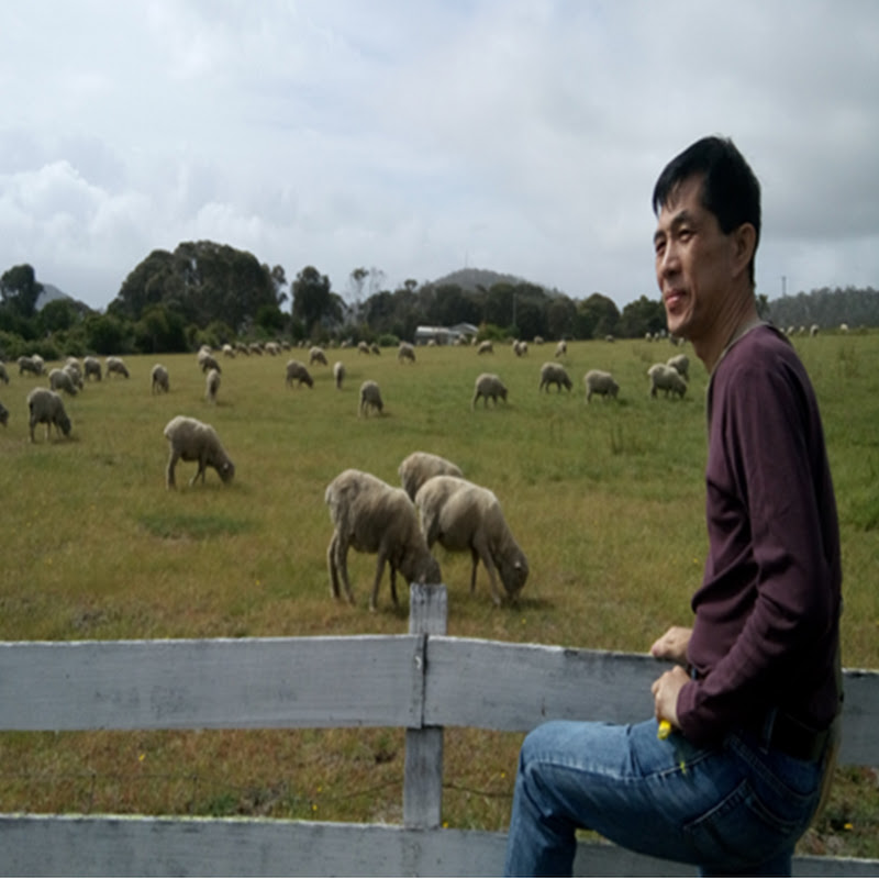 Matthew Chooi 马太崔显曜