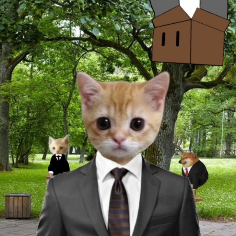 mr gato 7