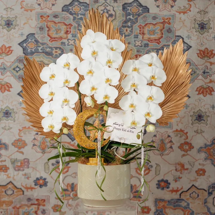 Von Florist Premium Orchid