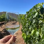 Vineyard Grant James