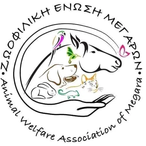 zem.rescues