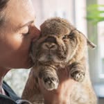 Ninni, Leopold and Leia