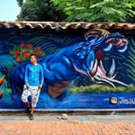 GRAFFITI Y MÚRALES CÚCUTA🎨