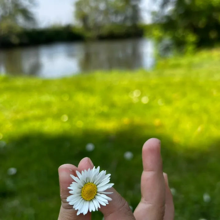 Asma divers 🇲🇦