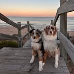 Scarlett & Zephyr