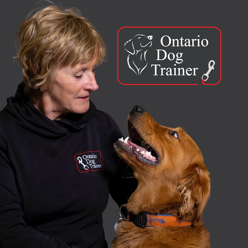 Ontario Dog Trainer