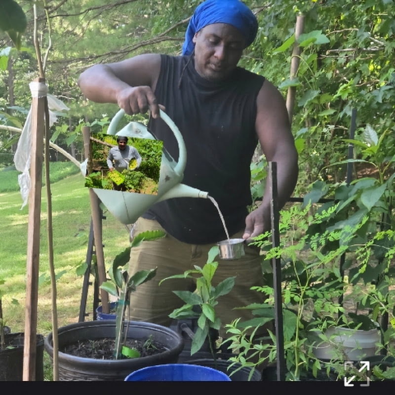 Planter Garden Tv  