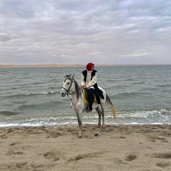 habiba naguib