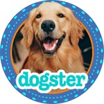Dogster Magazine