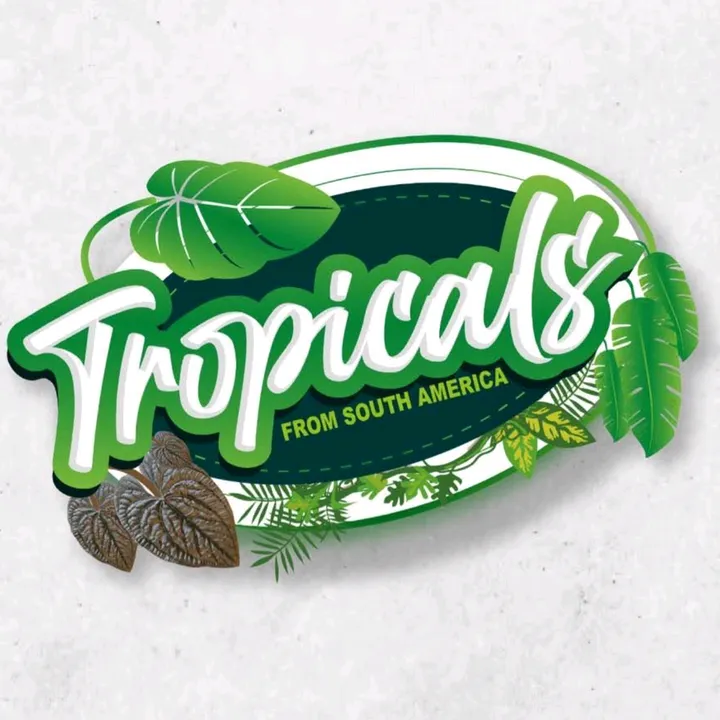 Tropicals Plants