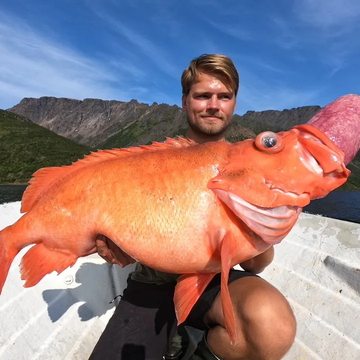 fishingsigg