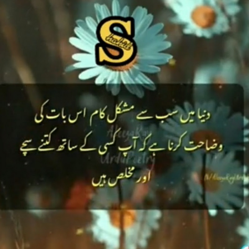 Saminas Life in Germany 