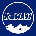 KAWAII - CUENTA PRINCIPAL
