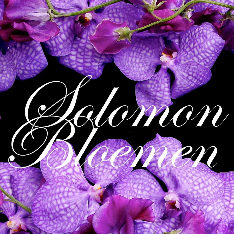SOLOMON BLOEMEN