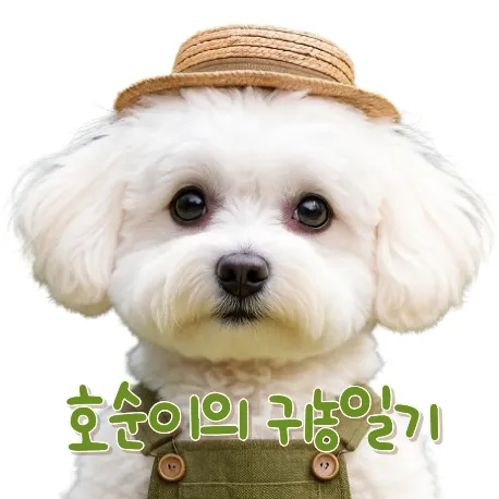 호순이의 귀농일기