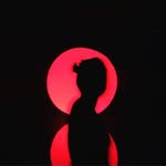 タカフミタナカ | アートディーラー | ユアムーンCEO