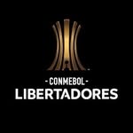 The CONMEBOL Libertadores