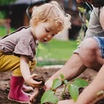 Gardening | Housewife | Farm