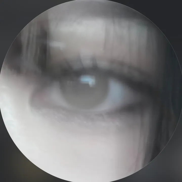 iateit