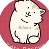 Aileen Cats Rescue