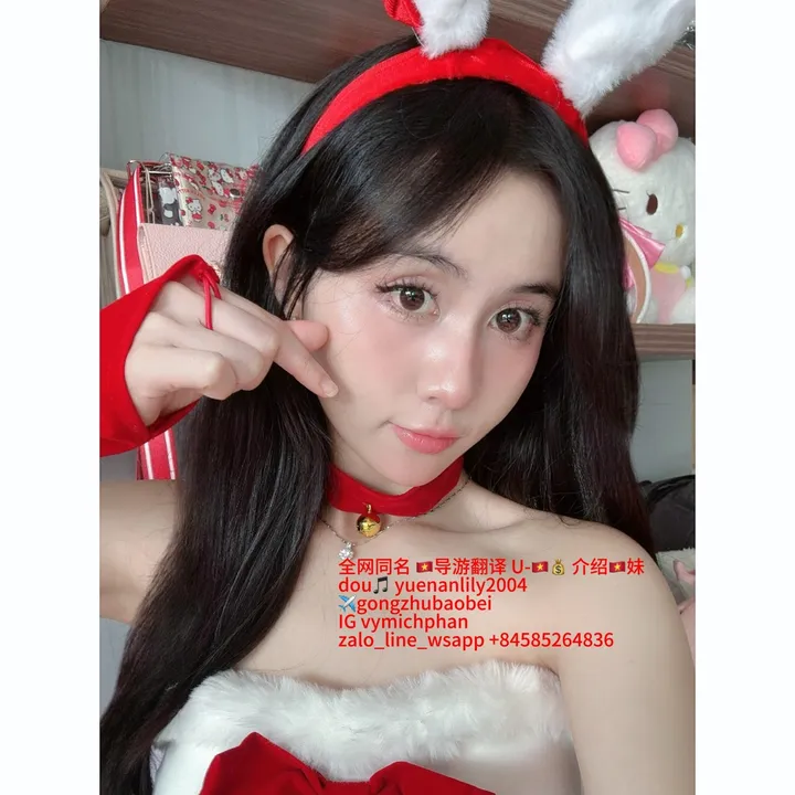 🇻🇳越南莉莉 Lily 导游 翻译