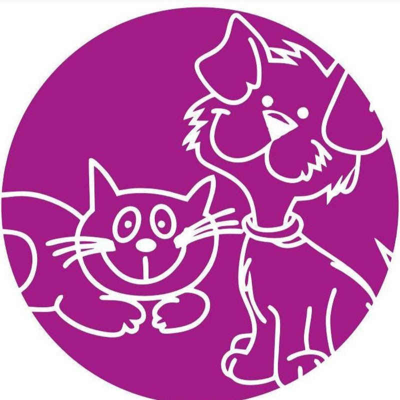 Pets Oasis UAE