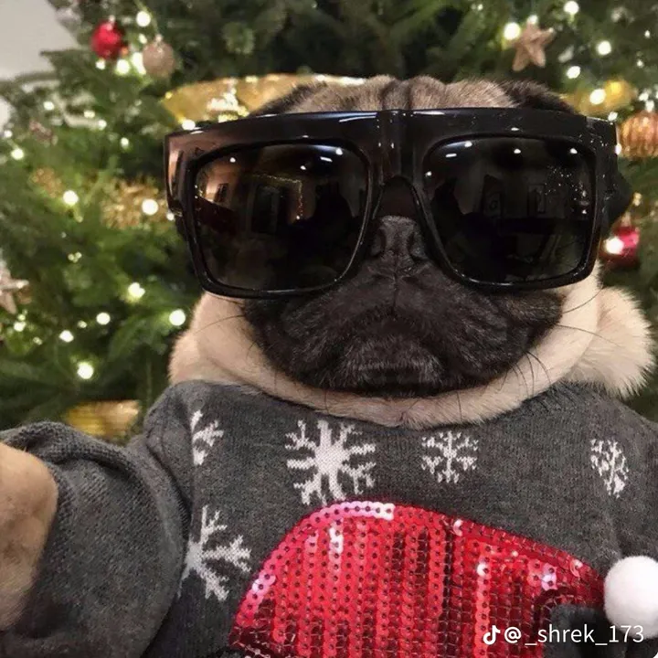 🎄🎁Mops🎁🎄