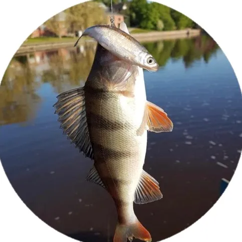 Helsinki Street Fishing