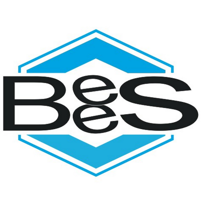 Mr BeeS